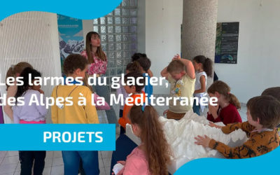 Vidéo : Les larmes du glacier