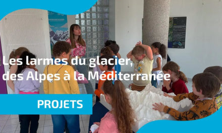 Vidéo : Les larmes du glacier