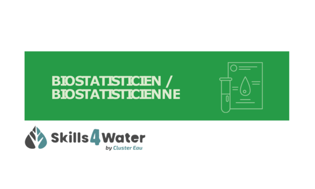 Fiche métier : Biostatisticien / Biostatisticienne